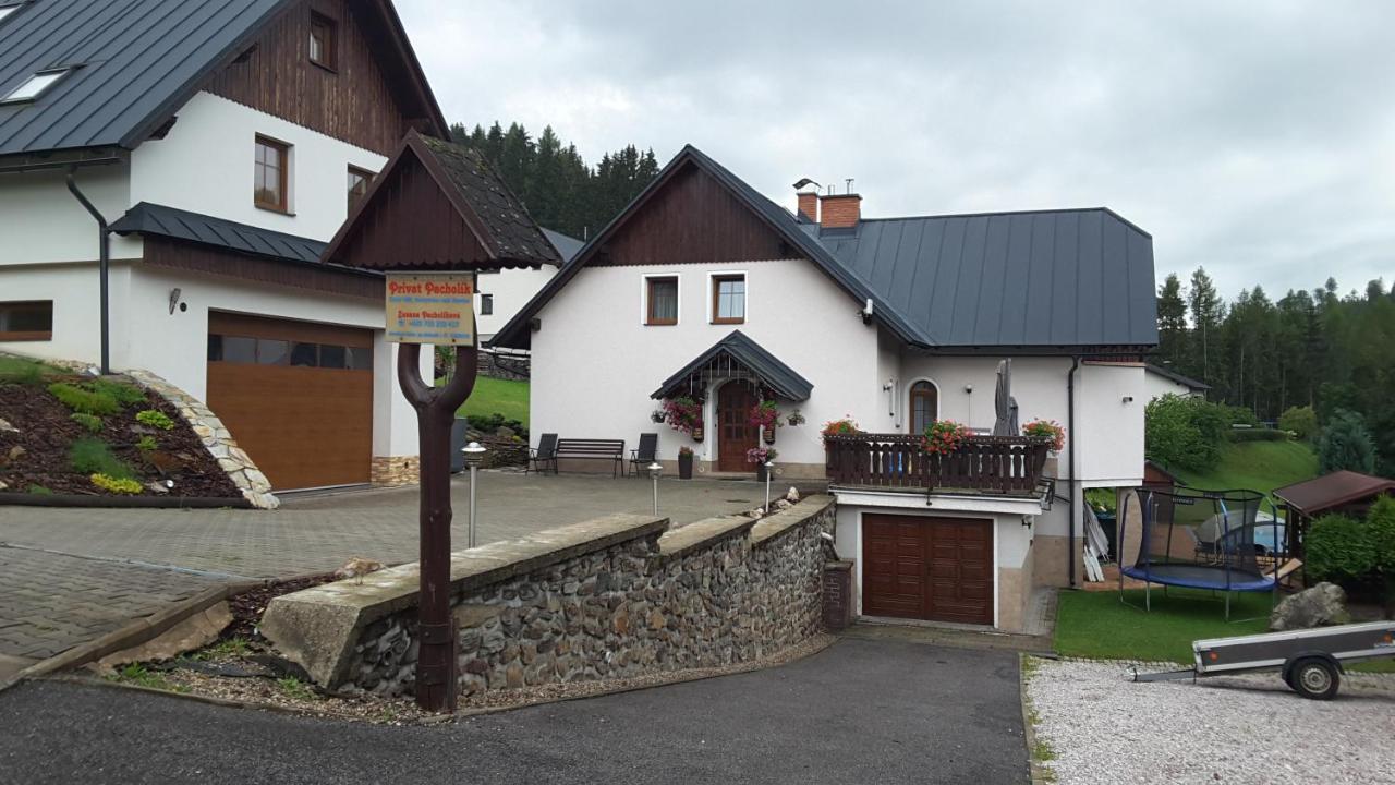 Apartmany - Privat Pacholik Rokytnice nad Jizerou Exteriör bild